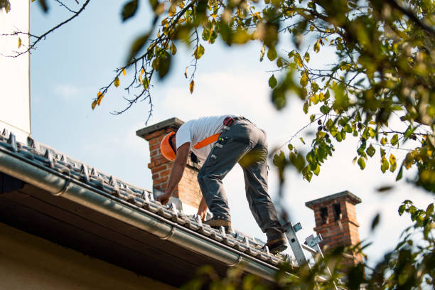Best Roof Maintenance Services  in Lovettsville, VA